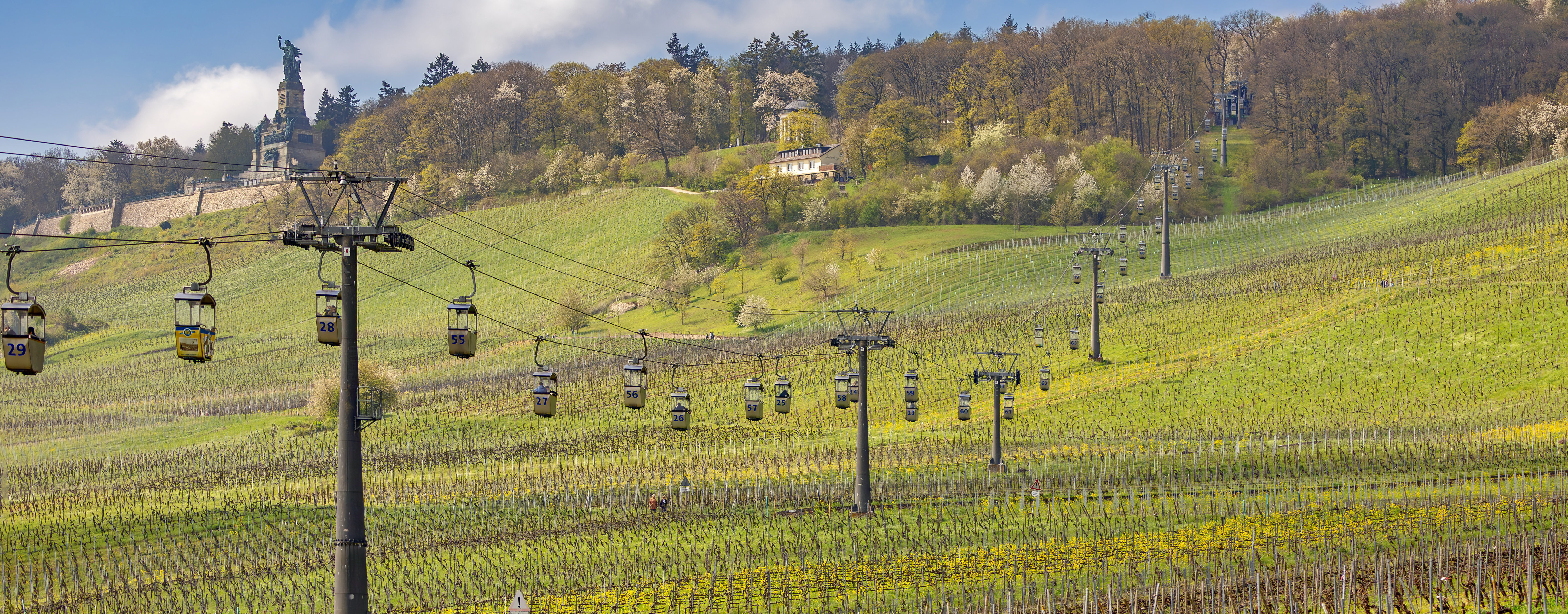 Rüdesheim Frühling Über der frühlingshaften Landschaft schwebt die Seilbahn zum Niederwalddenkmal hinaus.