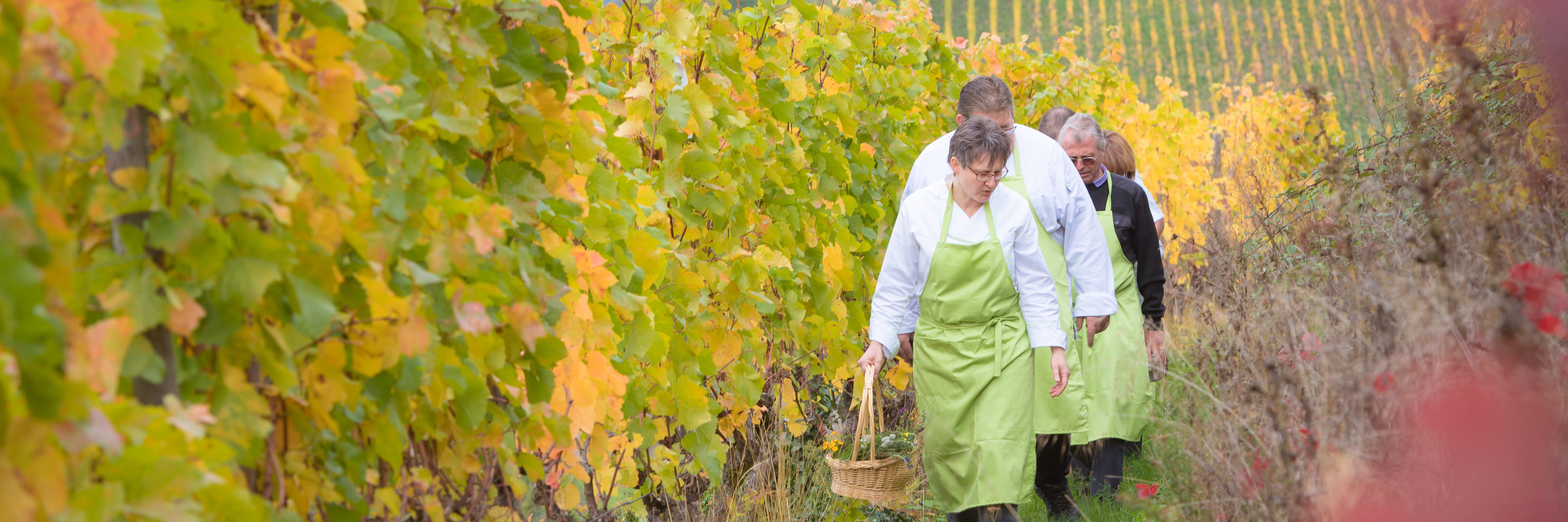 Ein paar Kräuterwirte laufen durch die Weinberge in Assmannshausen. Das Wetter ist sehr herbstlich.