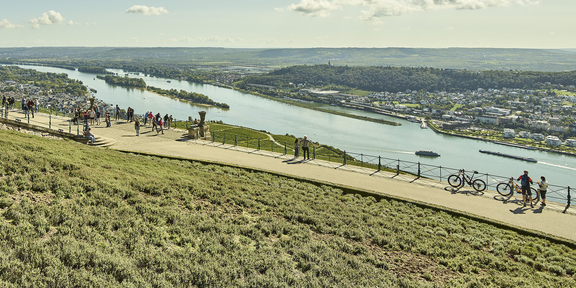 Blick vom Niederwalddenkmal runter in die Rheinebene über die Rüdesheimer Weinberge