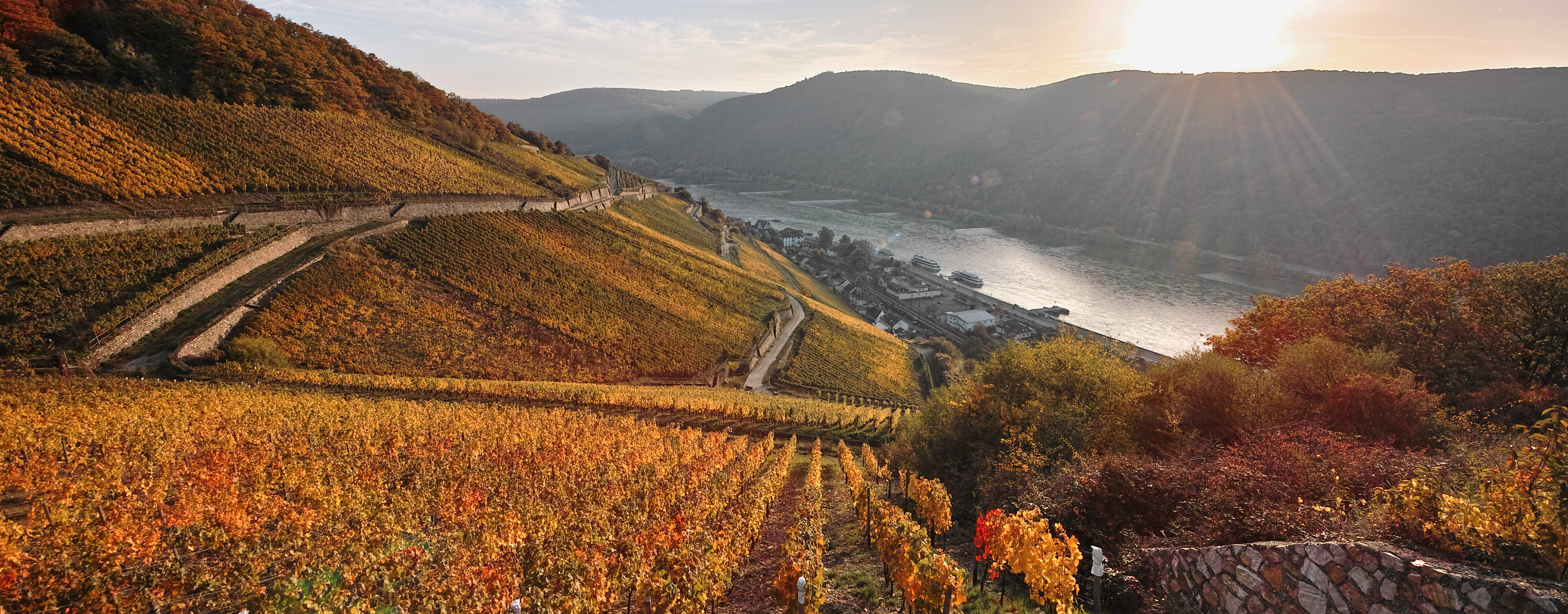 Die Sonne strahlt auf das bunt gefärbte Herbstlaub der Rüdesheimer Weinberge