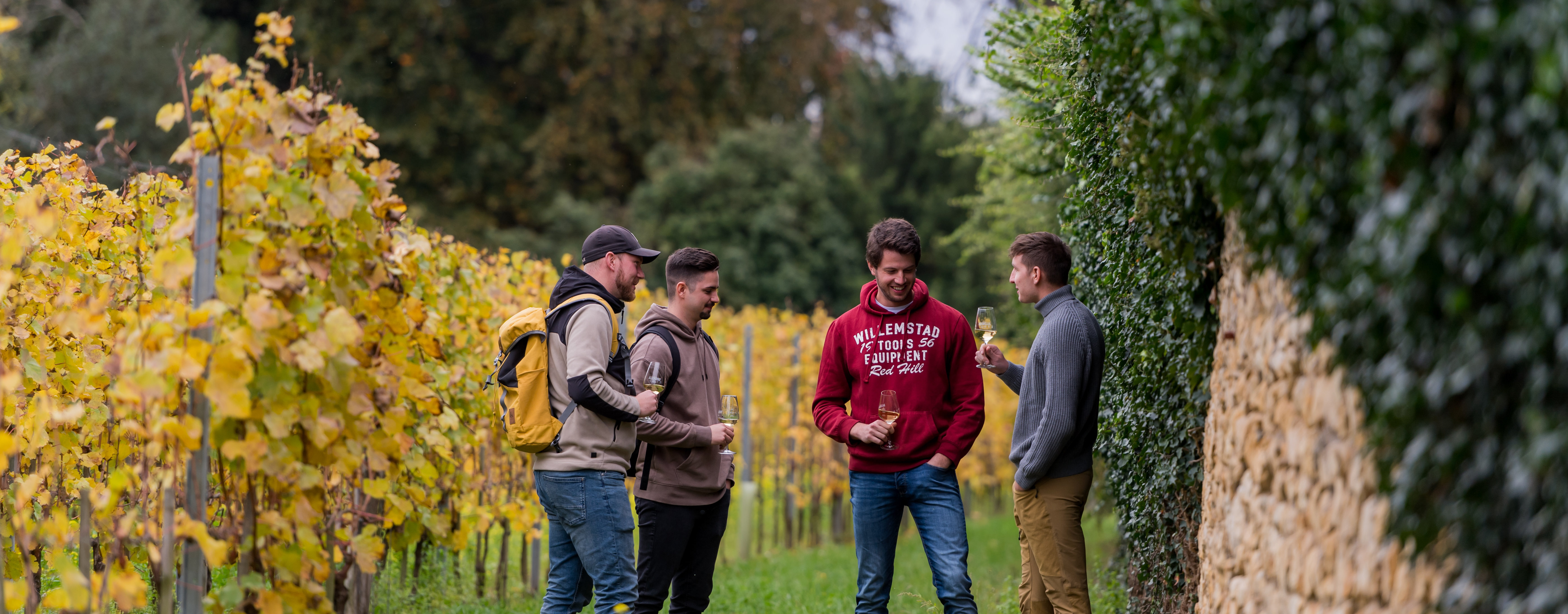 Vier junge Männer stehen legerer Kleidung am Rande eines Weinberges und probieren einen Wein.