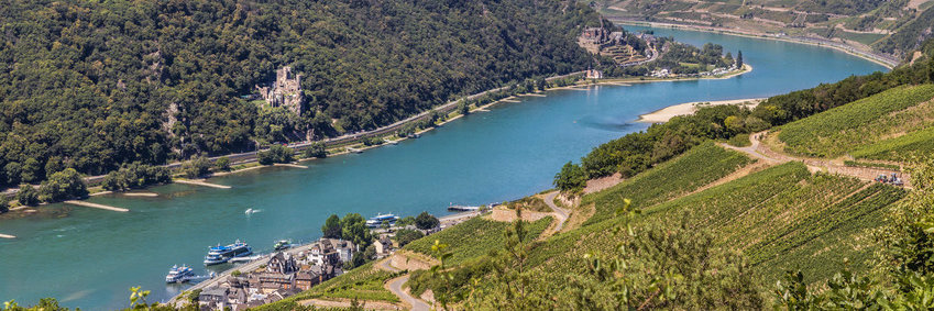 Blick auf den Rheinverlauf bei sonnigen Wetter. Zu sehen ist Assmannshausen und auf der anderen Rheinseite die Burg Rheinstein