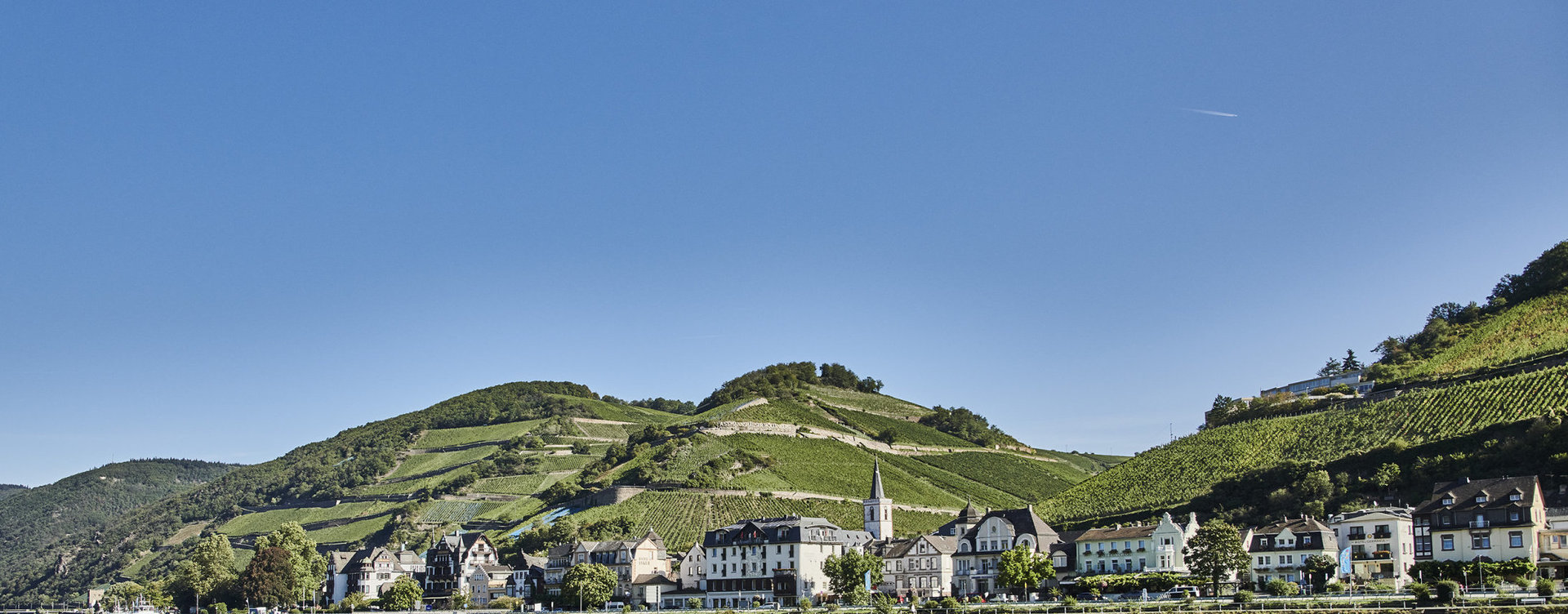 Blick auf Assmannshausen vom Rhein aus