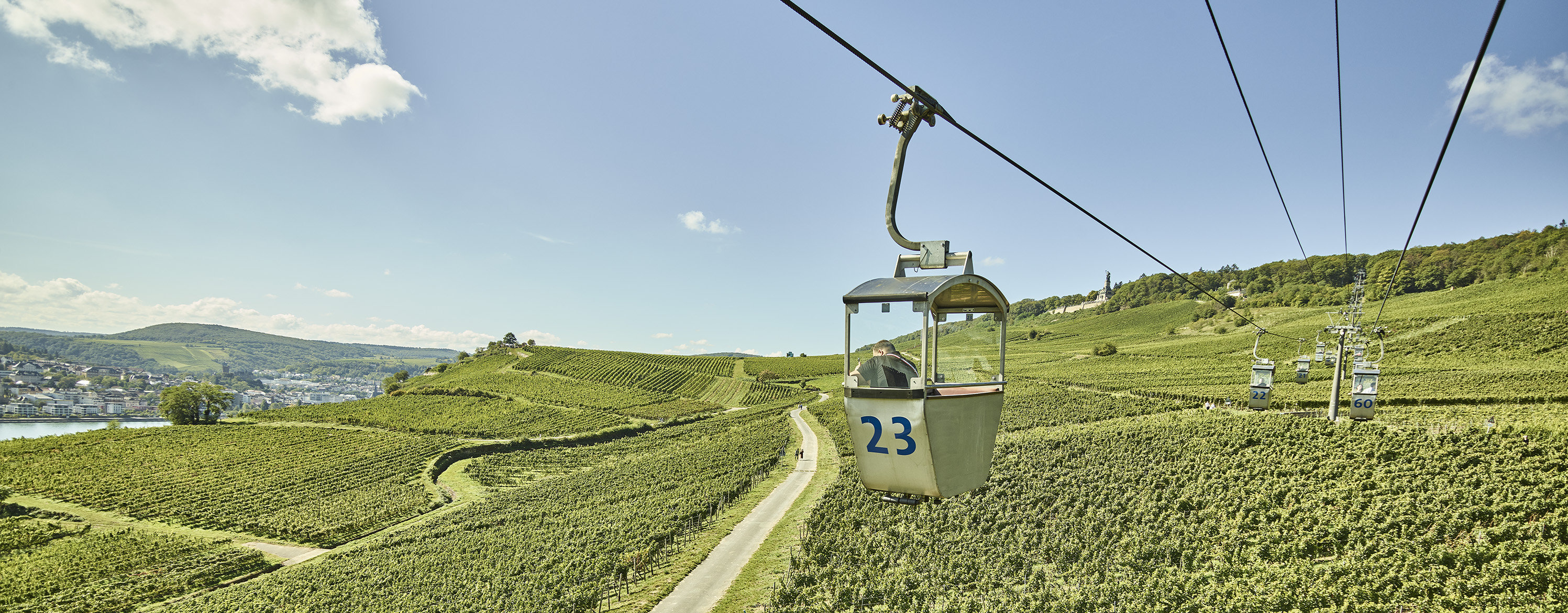 Ein Wagon der Seilbahn schwebt über den Weinbergen von Rüdesheim.