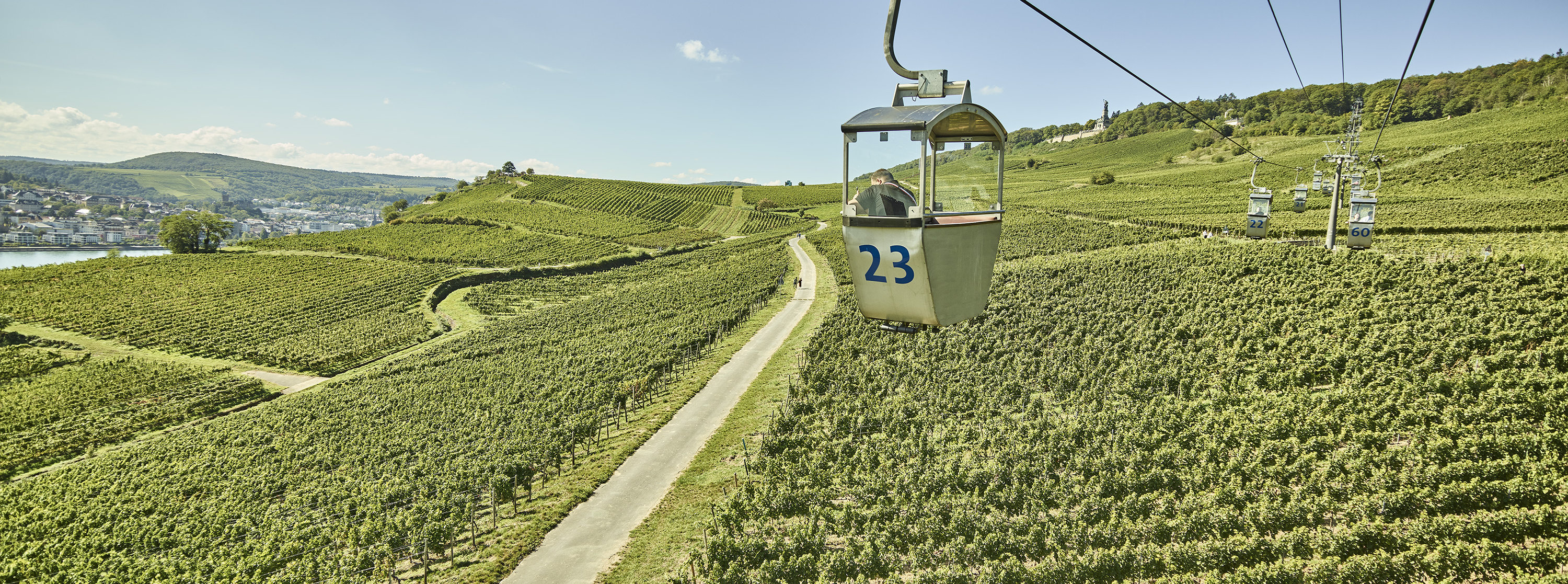 Ein Wagon der Seilbahn schwebt über den Weinbergen von Rüdesheim.