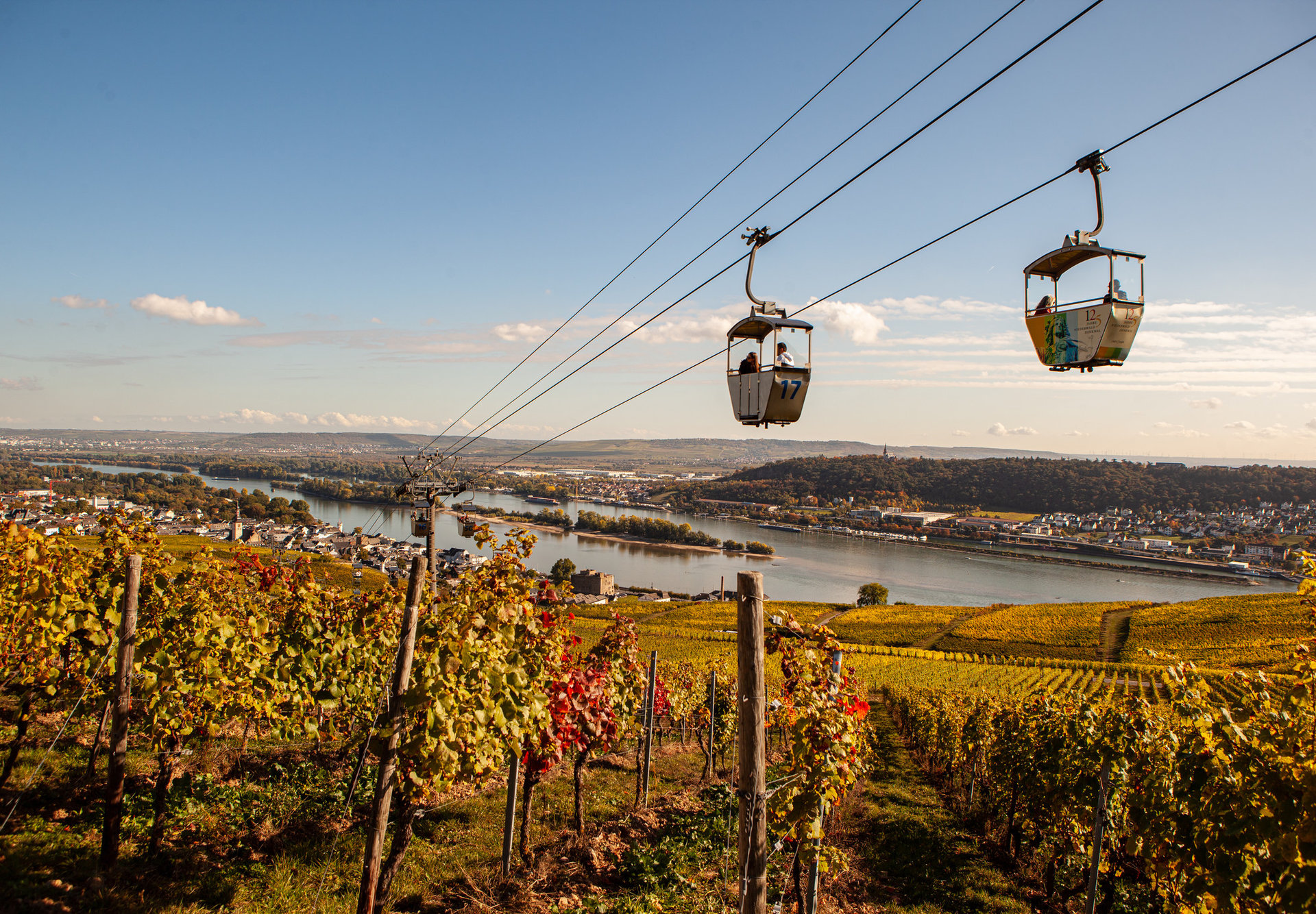 Die Gondeln der Seilbahn schweben über den herbstlich gefärbten Weinberge. Im Hintergrund sieht man noch einen Teil des Rheins