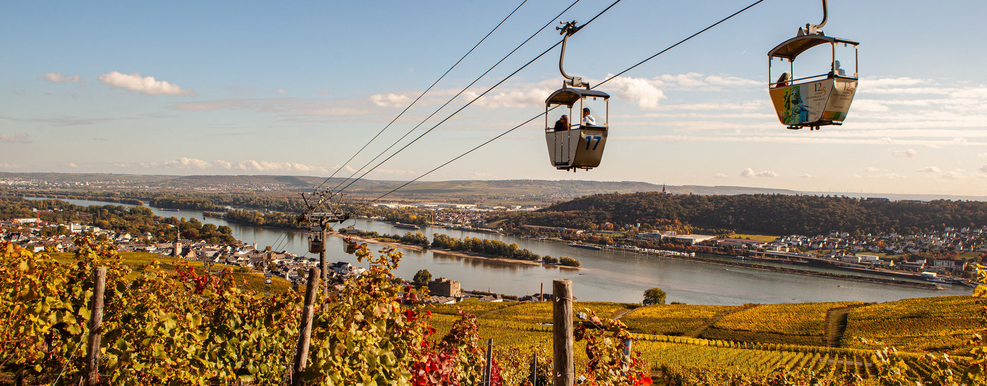 Die Gondeln der Seilbahn schweben über den herbstlich gefärbten Weinberge. Im Hintergrund sieht man noch einen Teil des Rheins