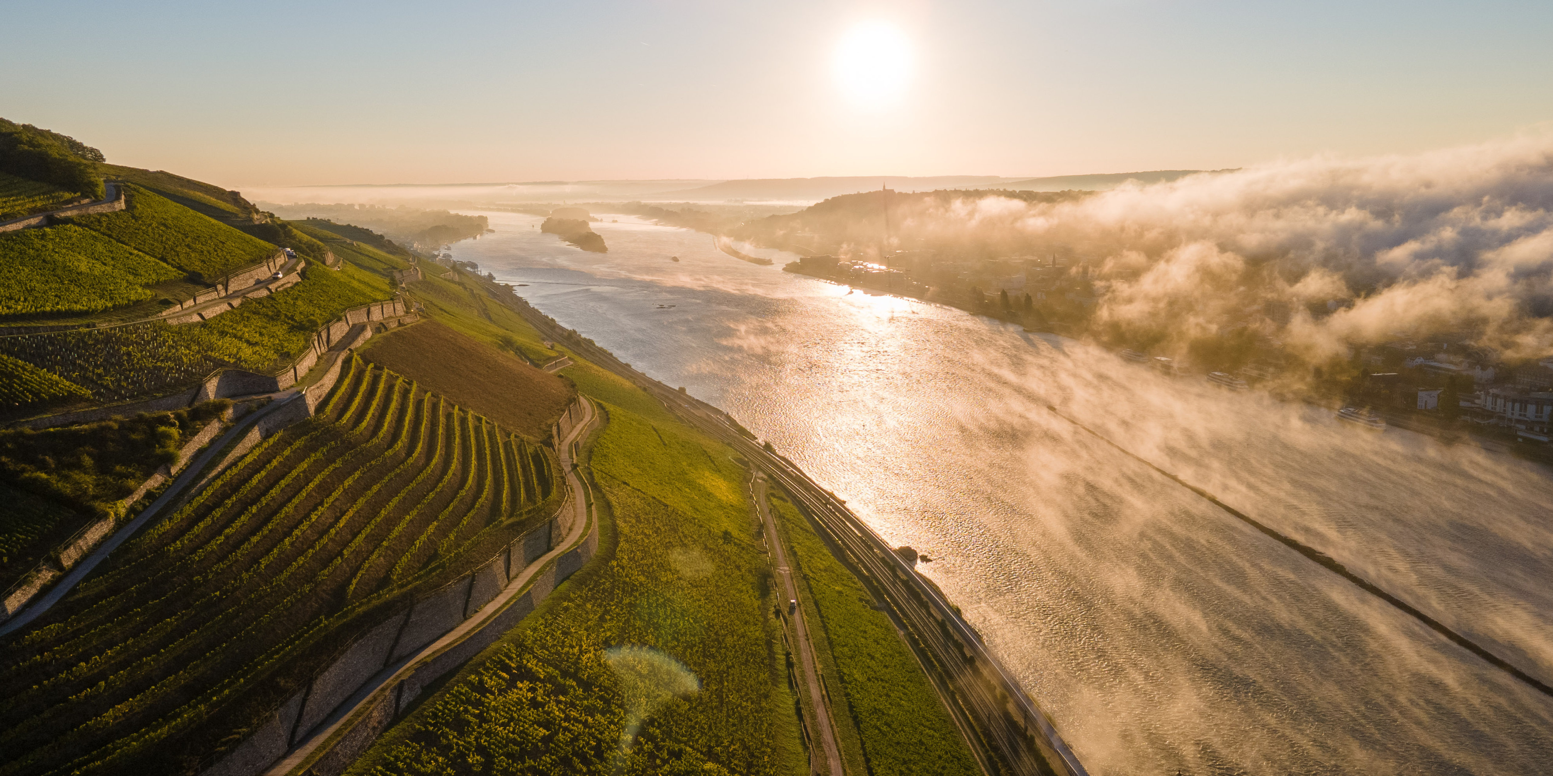Das Bild zeigt den Blick von oben auf einen Rüdesheimer Weinberg zum Fluss. Es ist eine mystische Stimmung. Die Sonne strahlt den Weinberg an und die andere Flussseite liegt noch im Nebel.