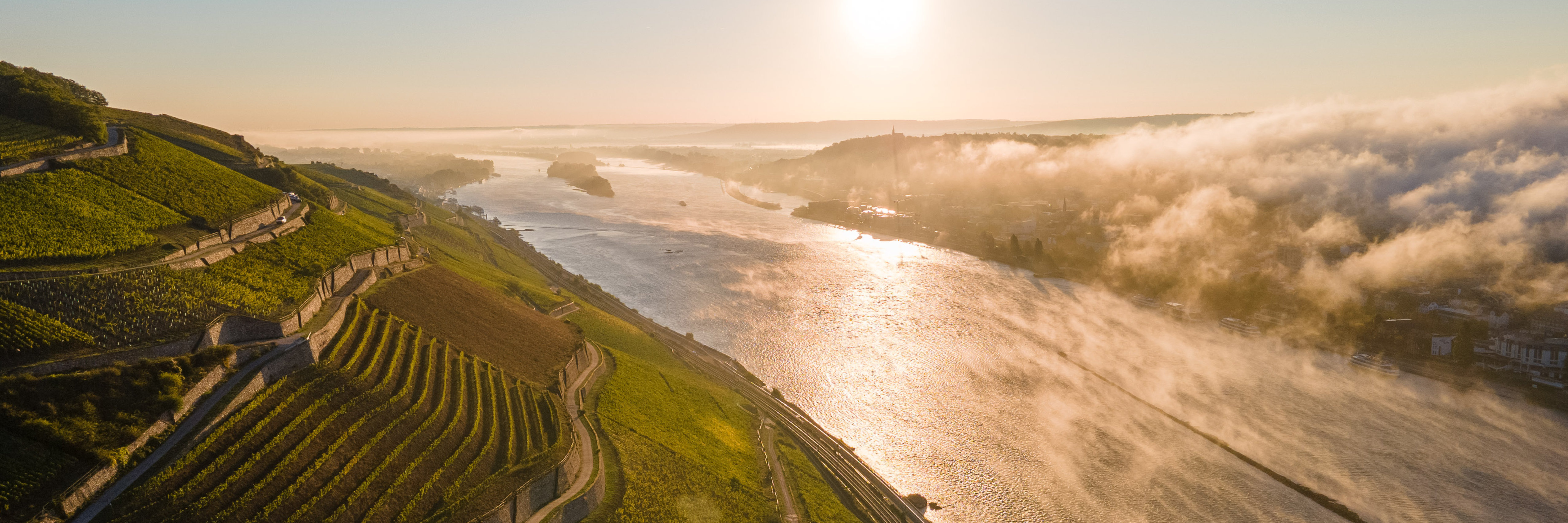 Das Bild zeigt den Blick von oben auf einen Rüdesheimer Weinberg zum Fluss. Es ist eine mystische Stimmung. Die Sonne strahlt den Weinberg an und die andere Flussseite liegt noch im Nebel.