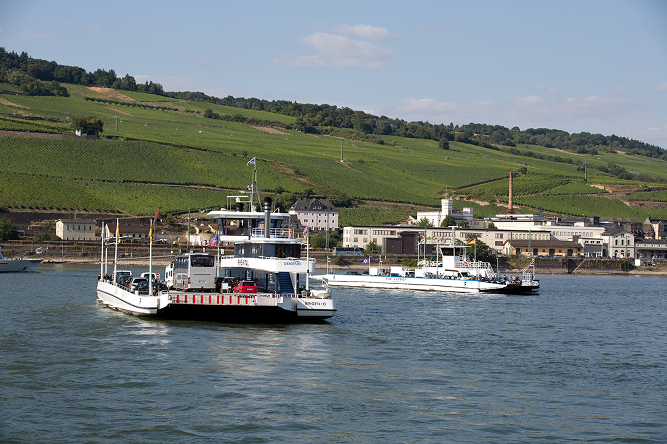 Two car ferries cross each other on the Rhine. The view is directed towards the Rüdesheim vineyards