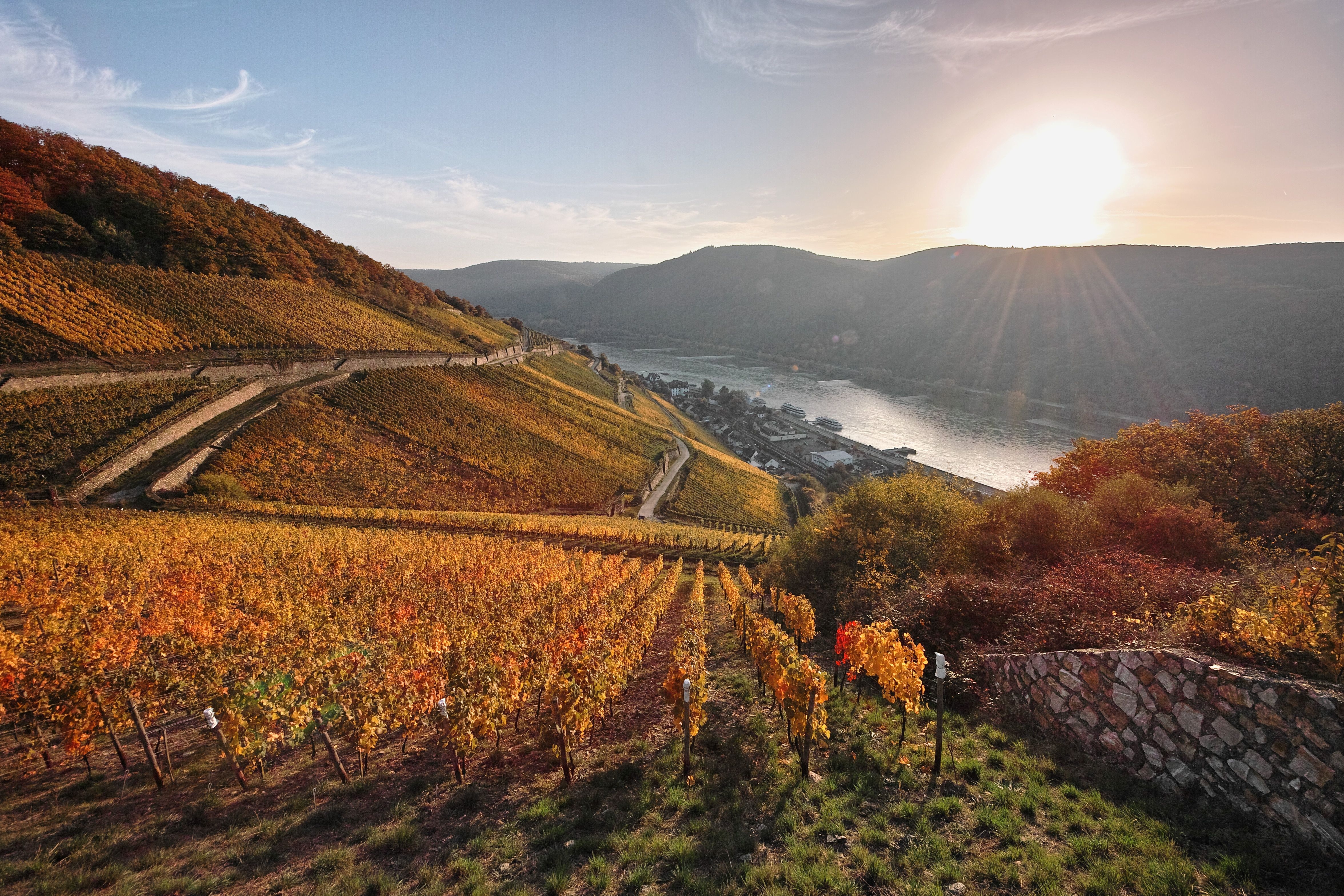 Die Sonne strahlt auf das bunt gefärbte Herbstlaub der Rüdesheimer Weinberge