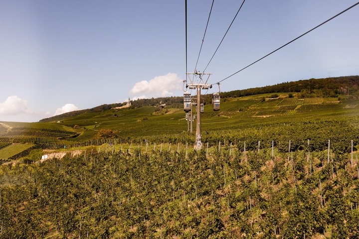 Weinberge Rüdesheim