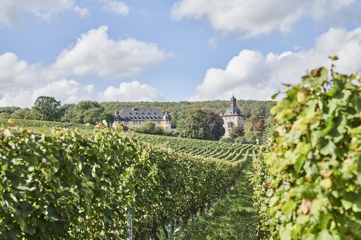 Schloss Vollrads Weinberge