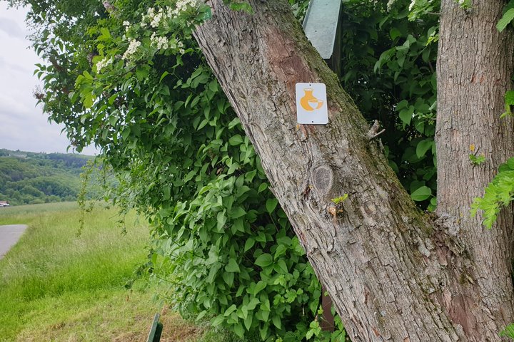 Aulhäuser Töpferrunde