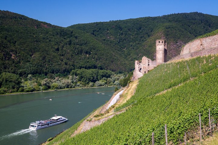 Burg Ehrenfels