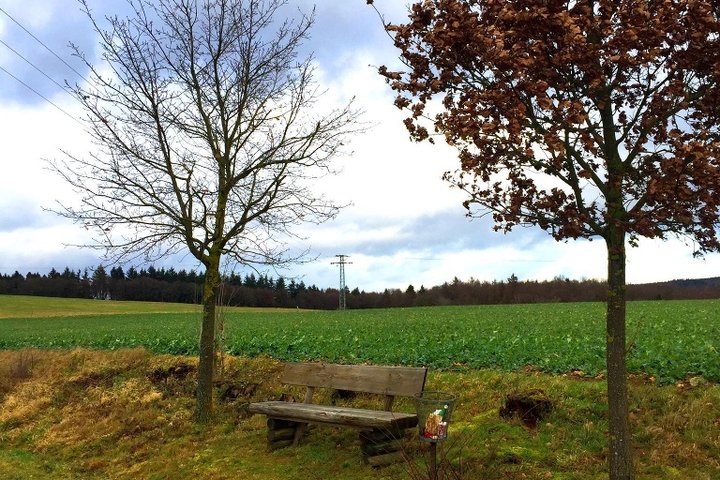Ruhebank_Abzweig-Welterod_6751-1