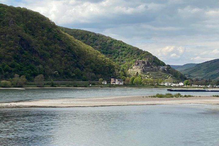 Blick auf Burg Reichenstein