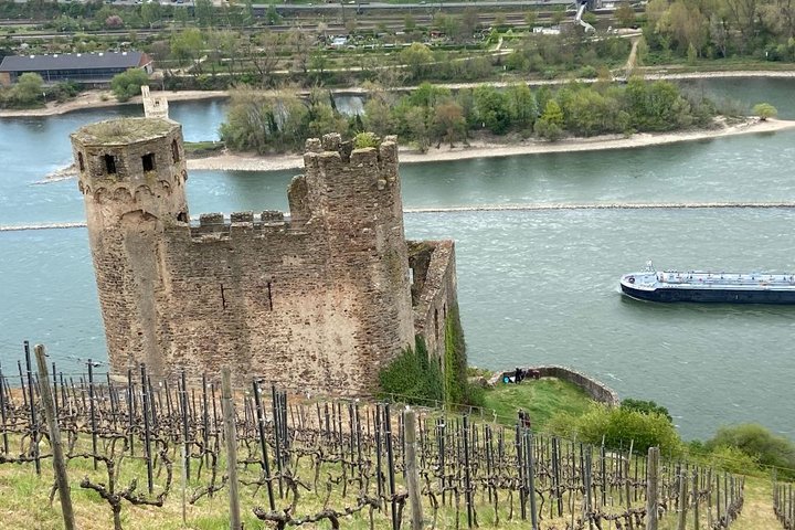 Ruine Ehrenfels mit Mäuseturm im Hintergrund