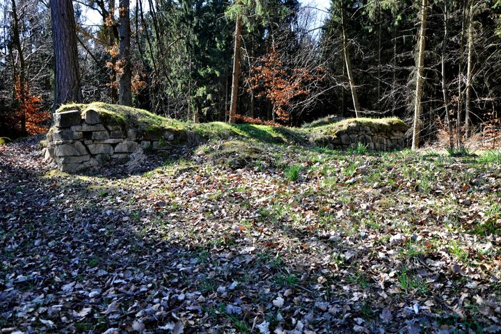 Limesturm Dornholzhausen