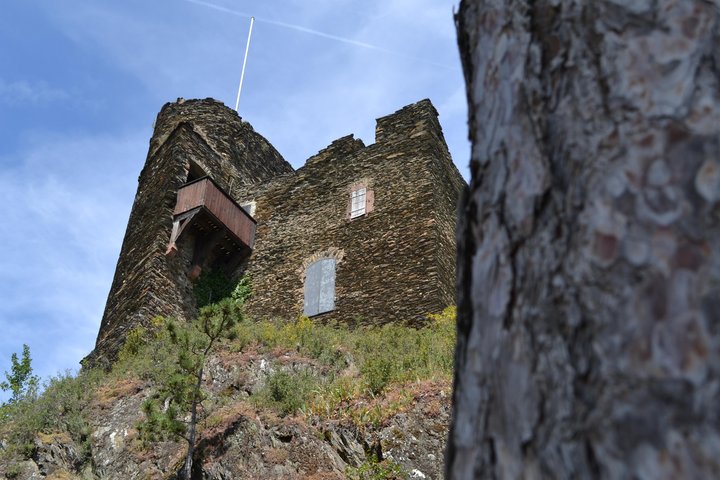 Burgruine Nollig
