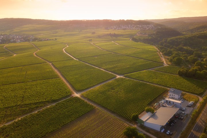 Weingut Sohns
