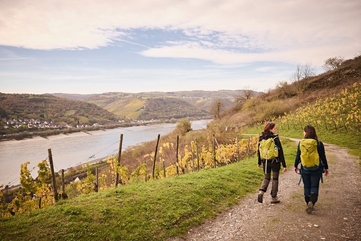 Durch die Weinberge