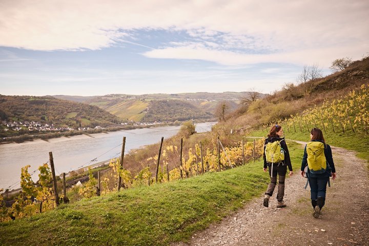 Durch die Weinberge