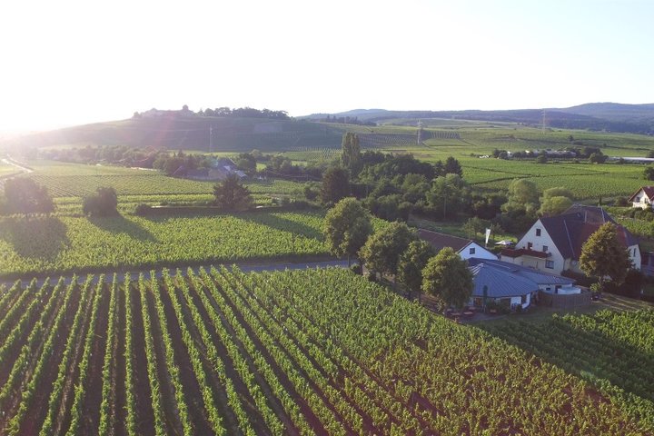 Weingut H. Krayer