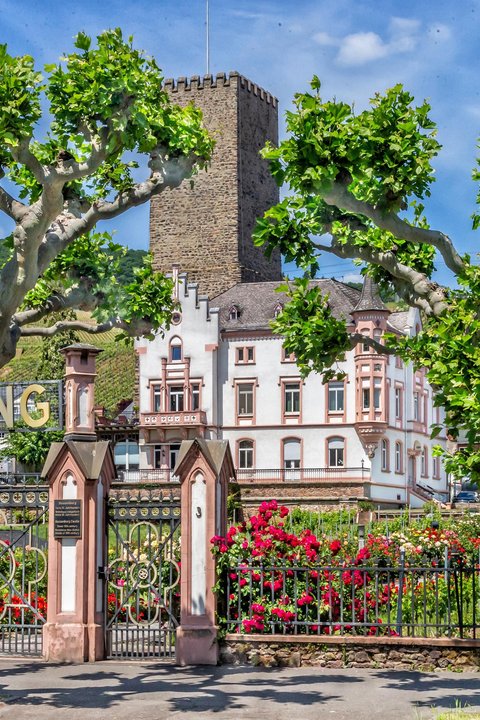 Boosenburg in Rüdesheim