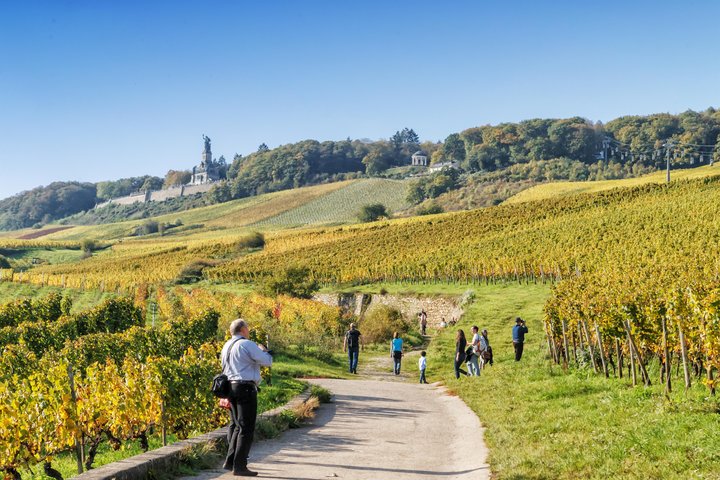 Wandern rund um Rüdesheim
