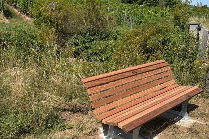 Bank im Rüdesheimer Bischofsberg