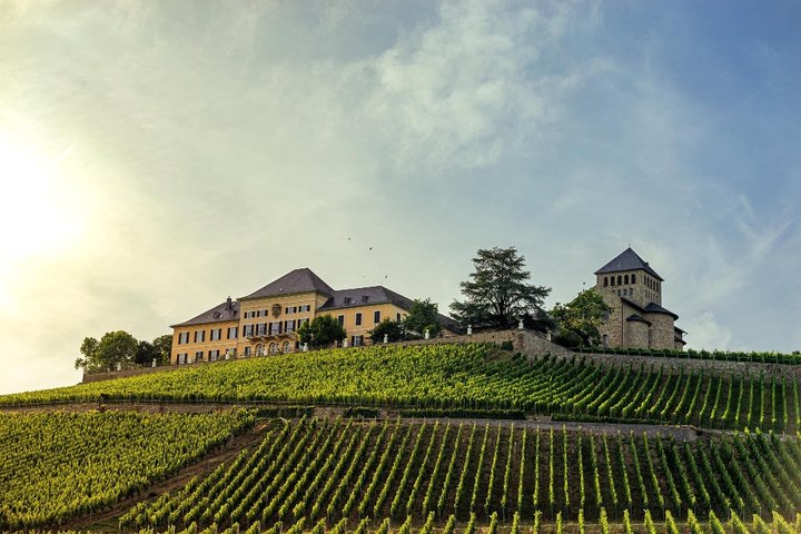 Schloss Johannisberg Weinberge