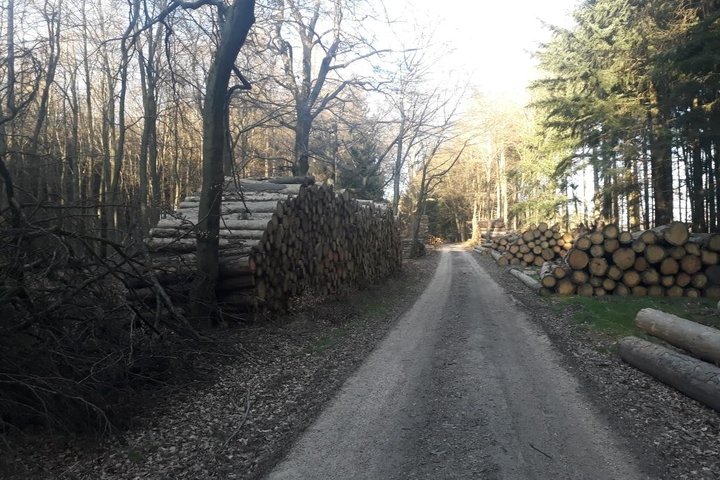 Sonntag, 5. April 2020 18:45:19