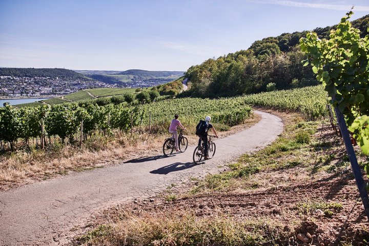 Radfahren durch die Weinberge