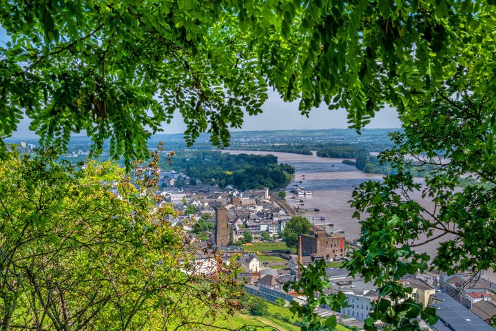 Aussicht auf Rüdesheim