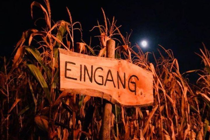 Night Walk