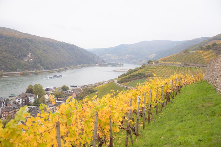 Blick auf Assmannshausen