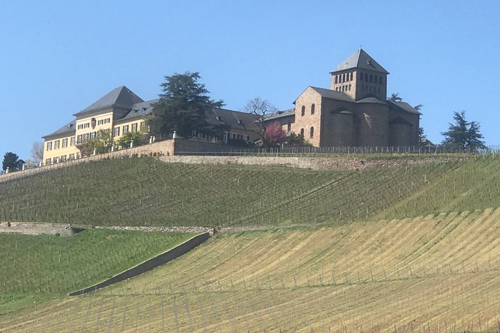 Schloss Johannisberg mit edler Vinothek
