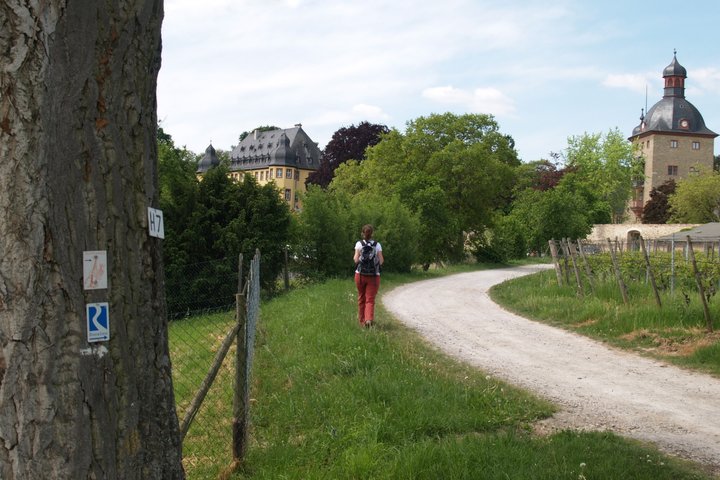 Schloss Vollrads