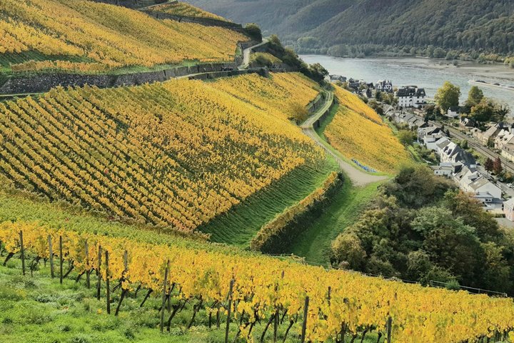Wanderung Nov