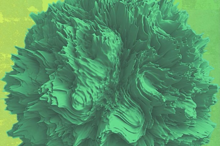 Bass. Strand. Fluss.