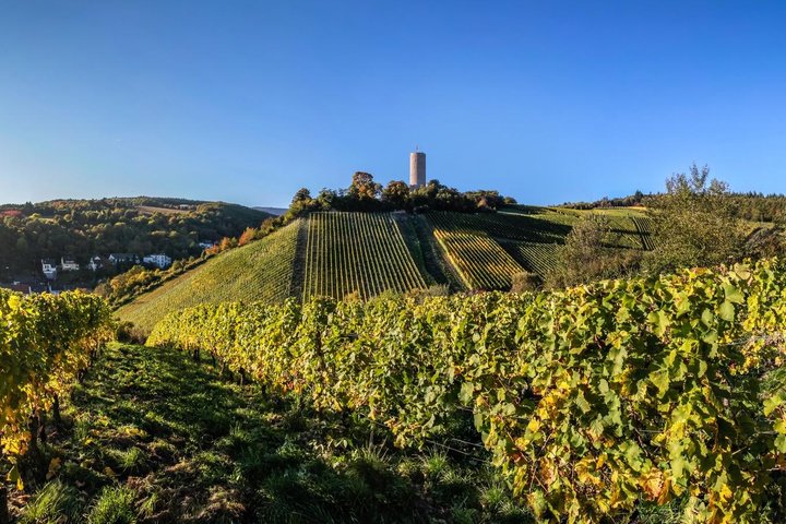 Weinberge Burgruine Scharfenstein
