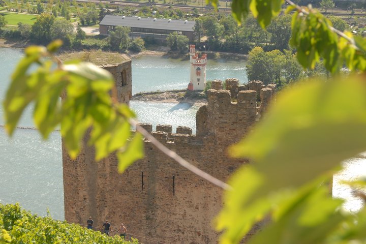 Burgruine Ehrenfels
